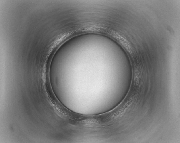 X0000116290578200911301420