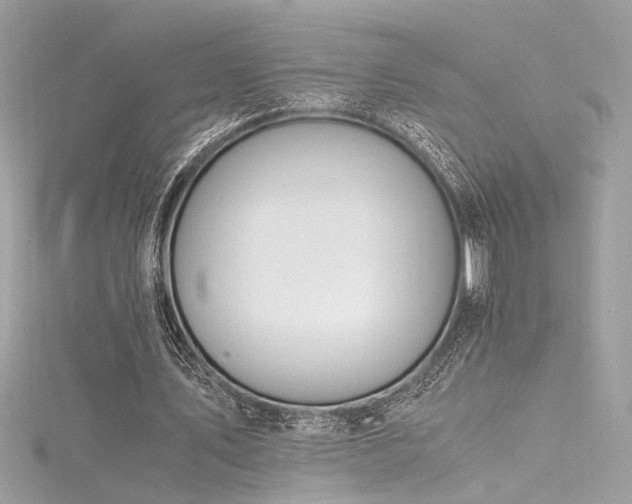 X0000116290579200911301420