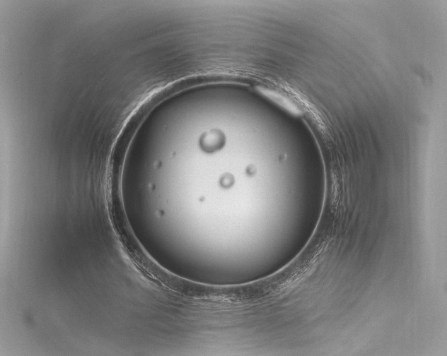 X0000116290580200911301420