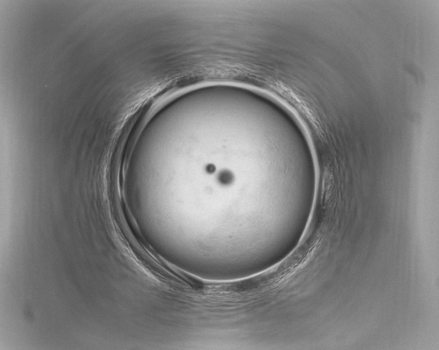 X0000116290581200911301420