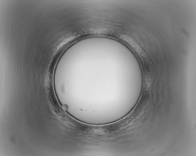 X0000116290583200911301420