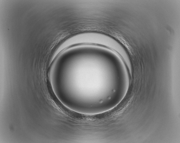 X0000116290585200911301420