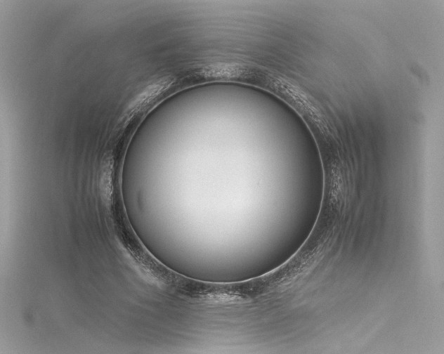 X0000116290586200911301420