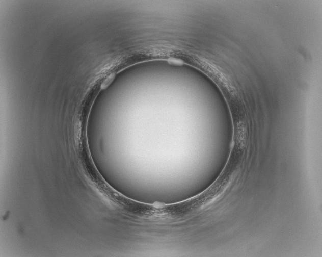 X0000116290589200911301420