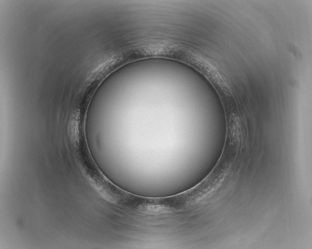 X0000116290590200911301420