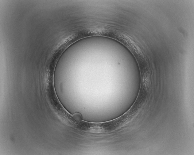 X0000116290591200911301420