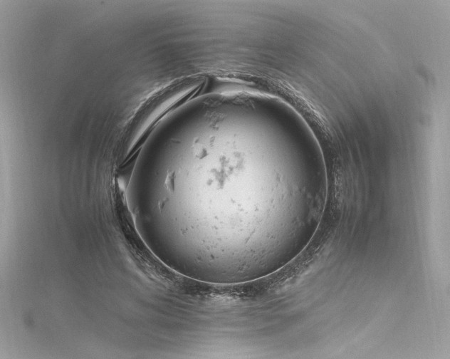 X0000116290592200911301420