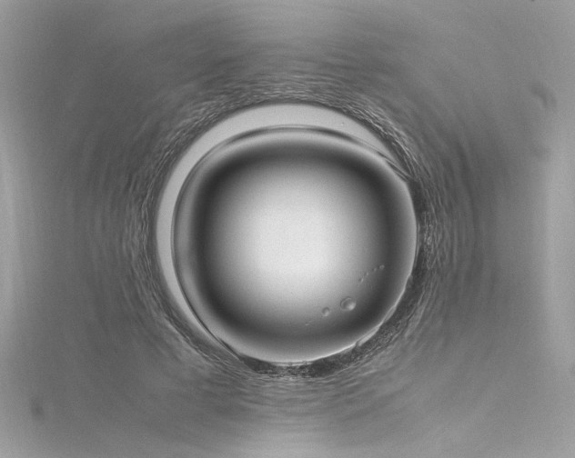 X0000116290593200911301420