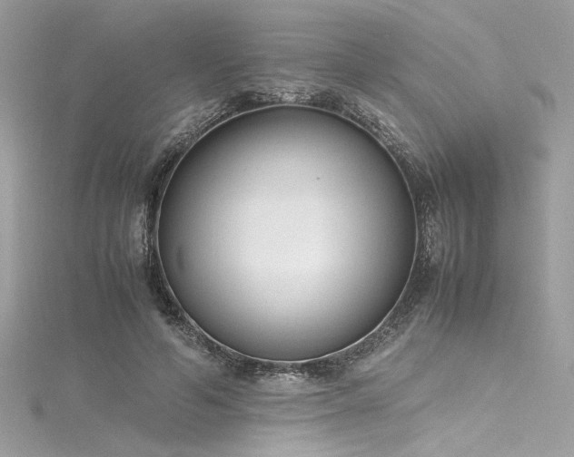 X0000116290594200911301420