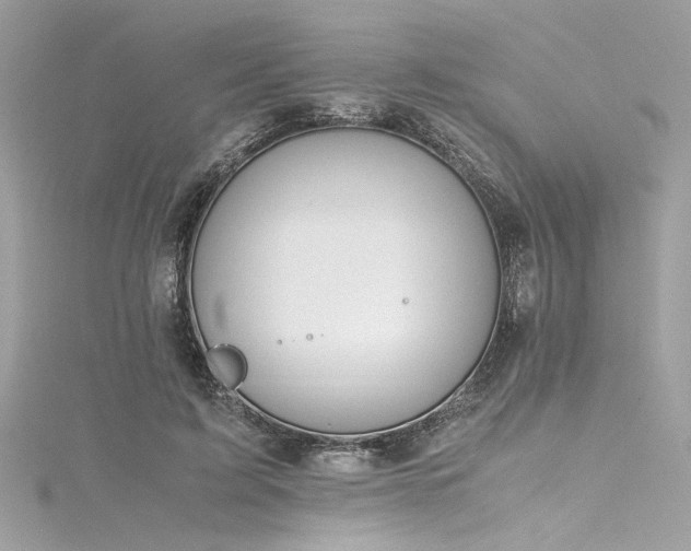 X0000116290595200911301420