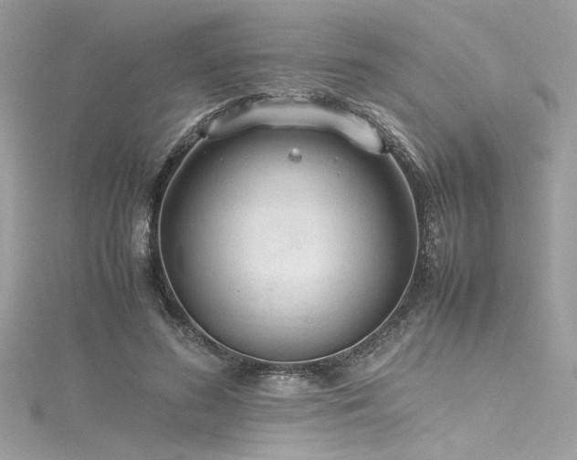 X0000116290596200911301420