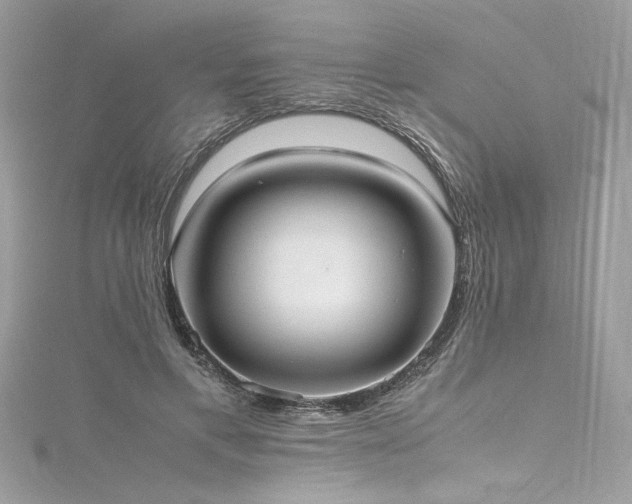 X0000116290597200911301420