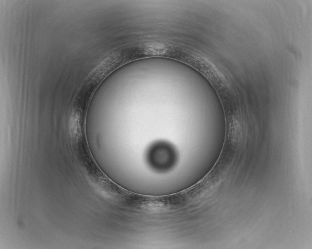 X0000116290598200911301420