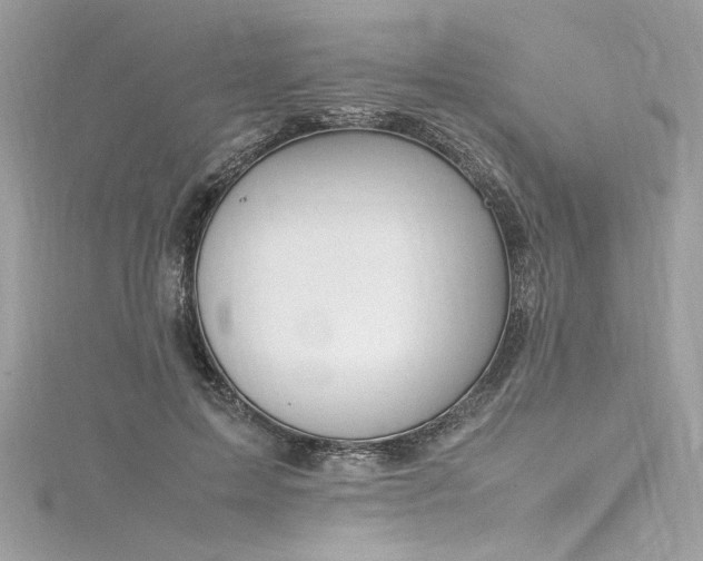 X0000116290599200911301420