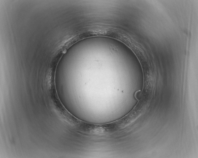 X0000116290600200911301420