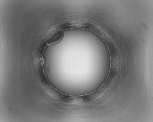 X0000116290601200911301420