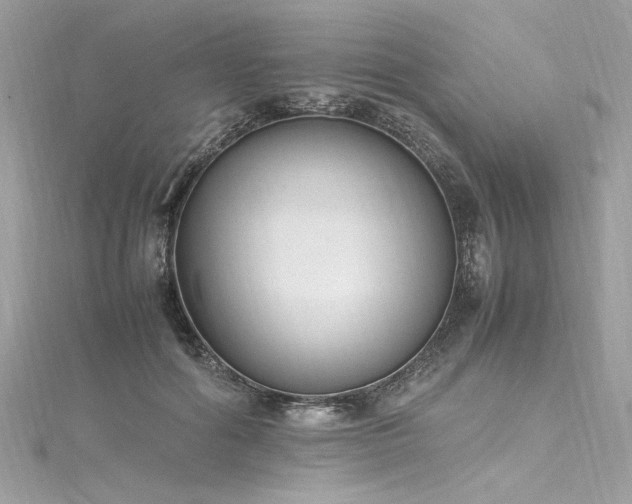 X0000116290602200911301420