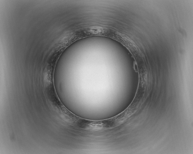 X0000116290606200911301420