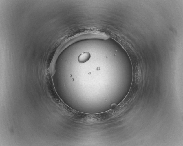 X0000116290608200911301420