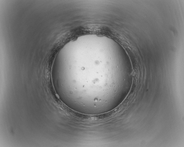 X0000116290609200911301420