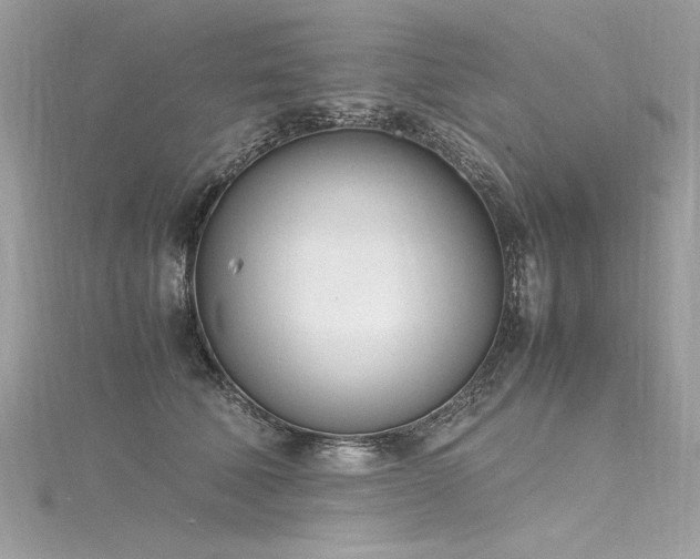 X0000116290610200911301420