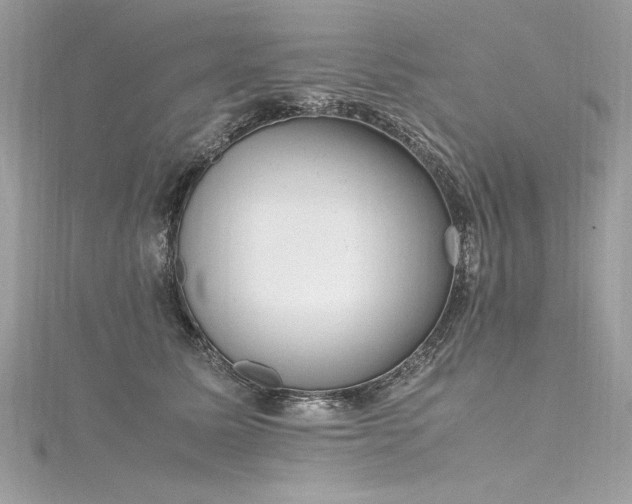 X0000116290611200911301420