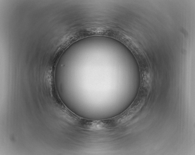 X0000116290612200911301420