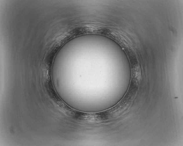 X0000116290615200911301420