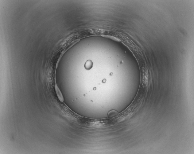 X0000116290616200911301420