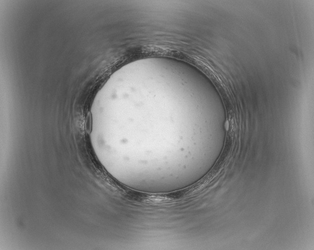 X0000116290617200911301420