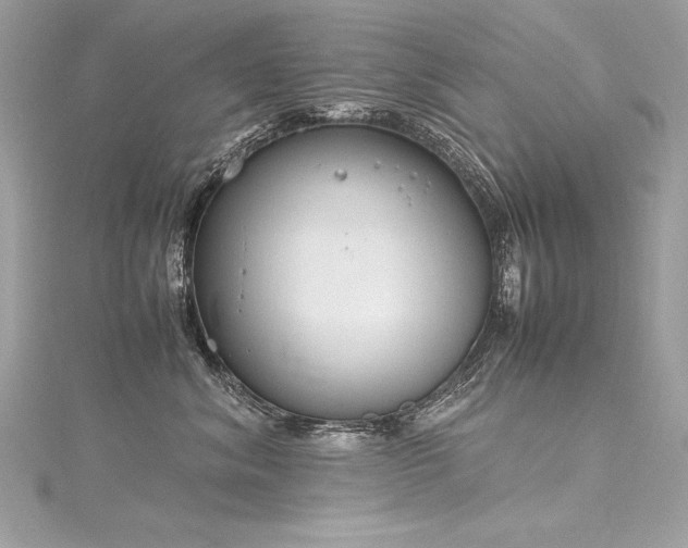 X0000116290620200911301420