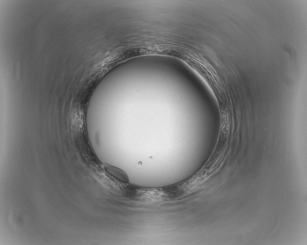 X0000116290621200911301420