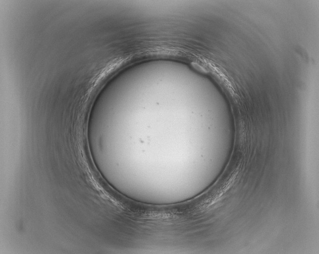 X0000116290625200911301419