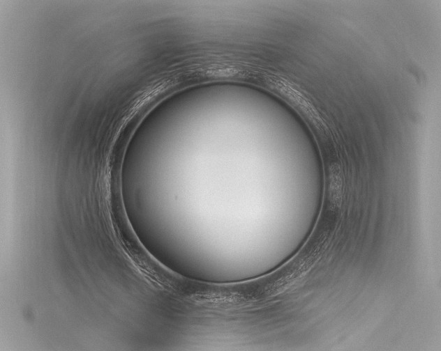 X0000116290626200911301419