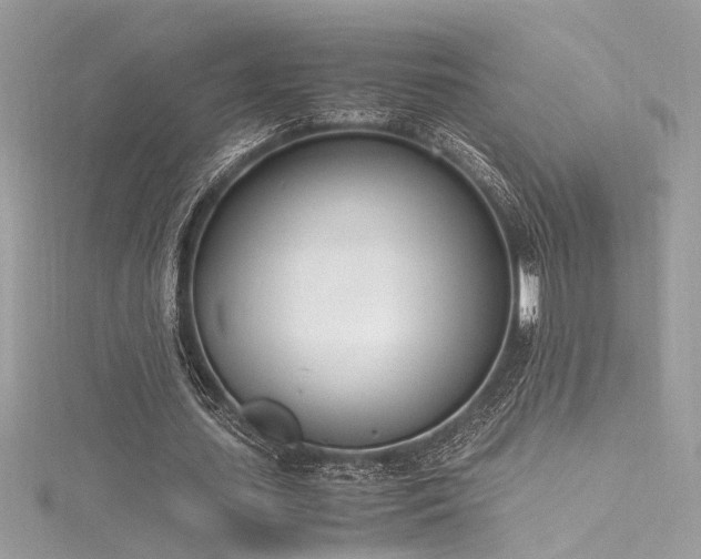 X0000116290627200911301419