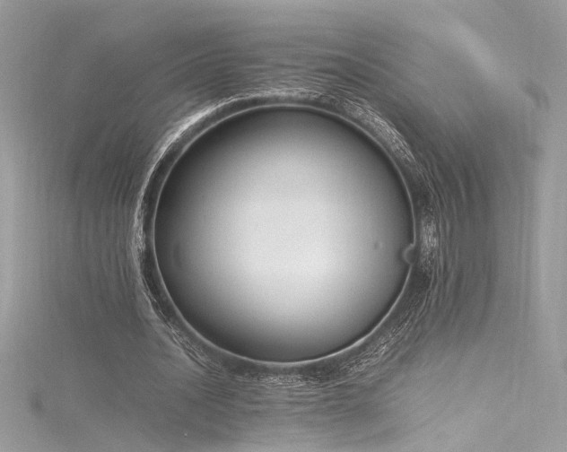 X0000116290628200911301419