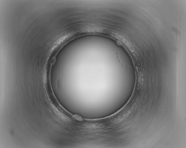 X0000116290629200911301419