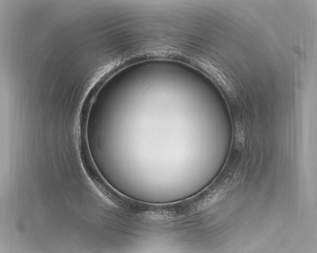 X0000116290630200911301419