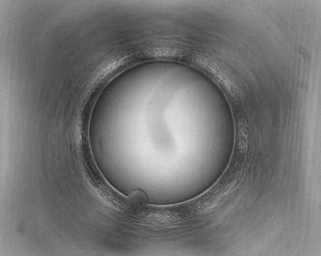 X0000116290631200911301419