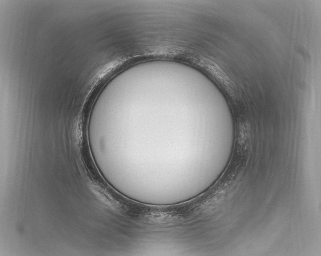 X0000116290632200911301419