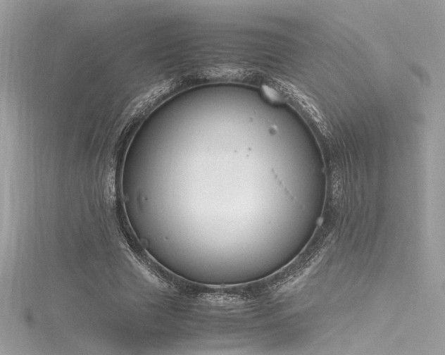 X0000116290633200911301419