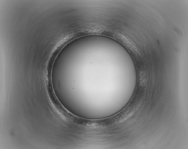 X0000116290634200911301419