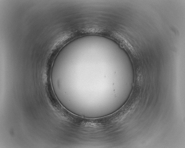 X0000116290635200911301419