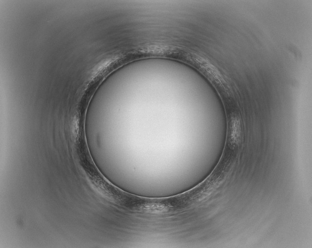 X0000116290636200911301419