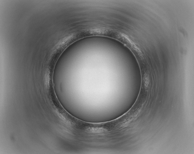 X0000116290637200911301419