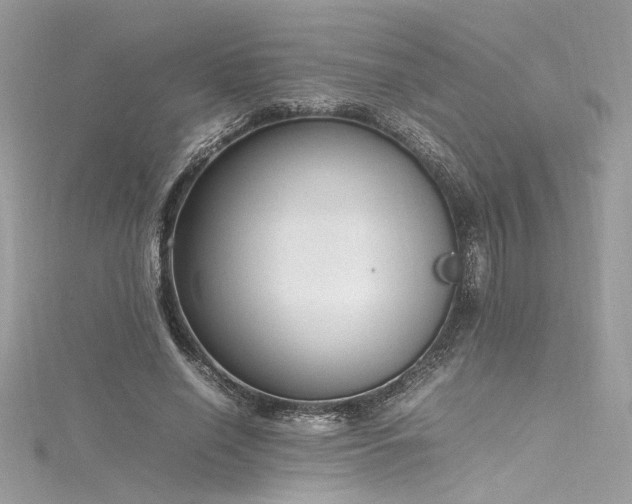 X0000116290638200911301419