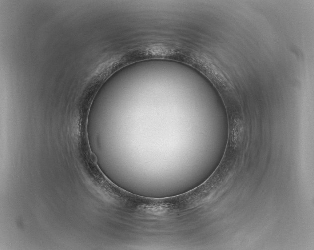 X0000116290639200911301419