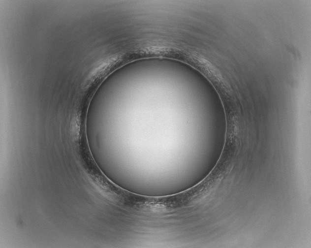 X0000116290640200911301419