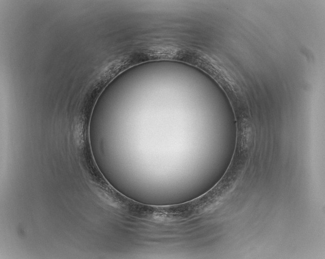 X0000116290641200911301419