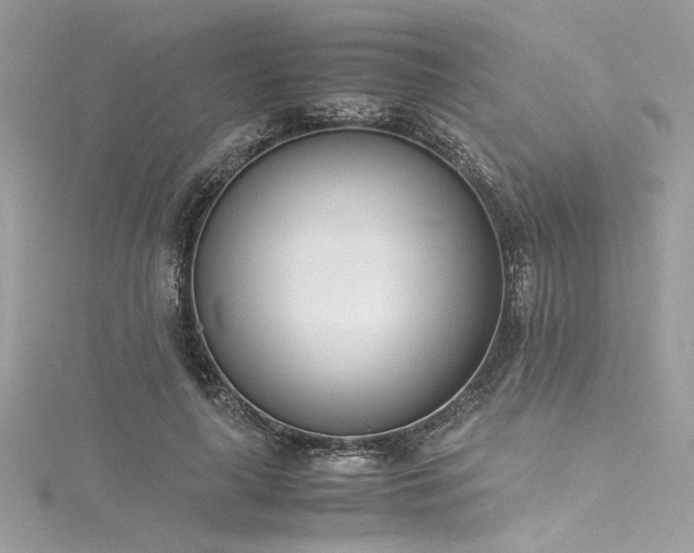 X0000116290643200911301419